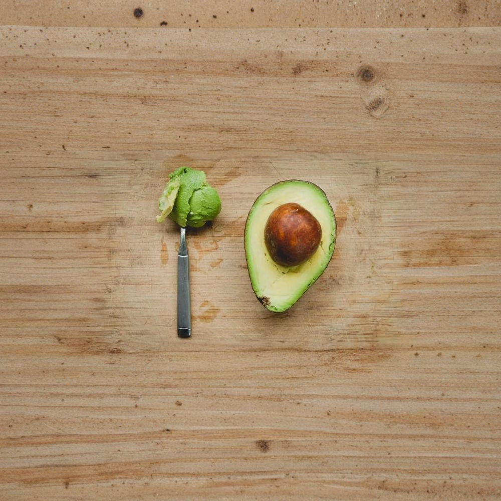 Organic Avozilla Avocado Tree – Persea americana Grafted Live Plant | Approx. 3 Feet Tall | Non-GMO | Naturally Grown  World’s Largest Avocado Variety | Vigorous Growth | Premium Grafted Tree