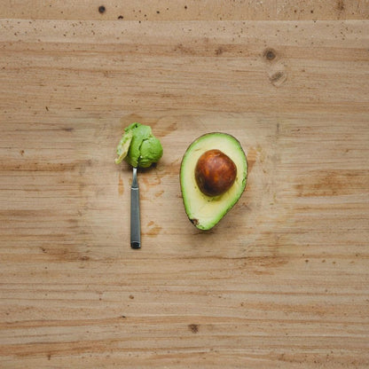 Organic Avozilla Avocado Tree – Persea americana Grafted Live Plant | Approx. 3 Feet Tall | Non-GMO | Naturally Grown  World’s Largest Avocado Variety | Vigorous Growth | Premium Grafted Tree