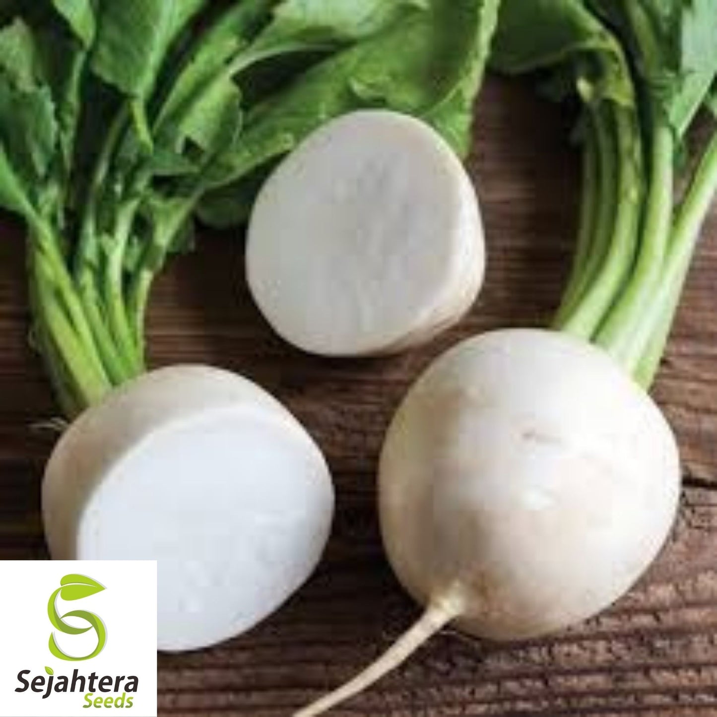 Radish Seeds Hailstone White 200 Ct | Vegetable Garden NON-GMO USA