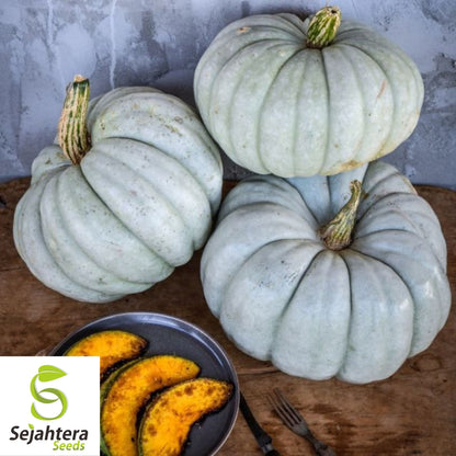 10 Jarrahdale Blue Pumpkin Seeds - Cucurbita Maxima, Heirloom, Non-GMO
