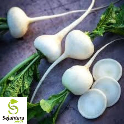 Radish Seeds Hailstone White 200 Ct | Vegetable Garden NON-GMO USA