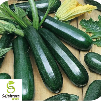 25 Dark Green Zucchini Squash Seeds - Non-GMO, High-Yield Summer Variety