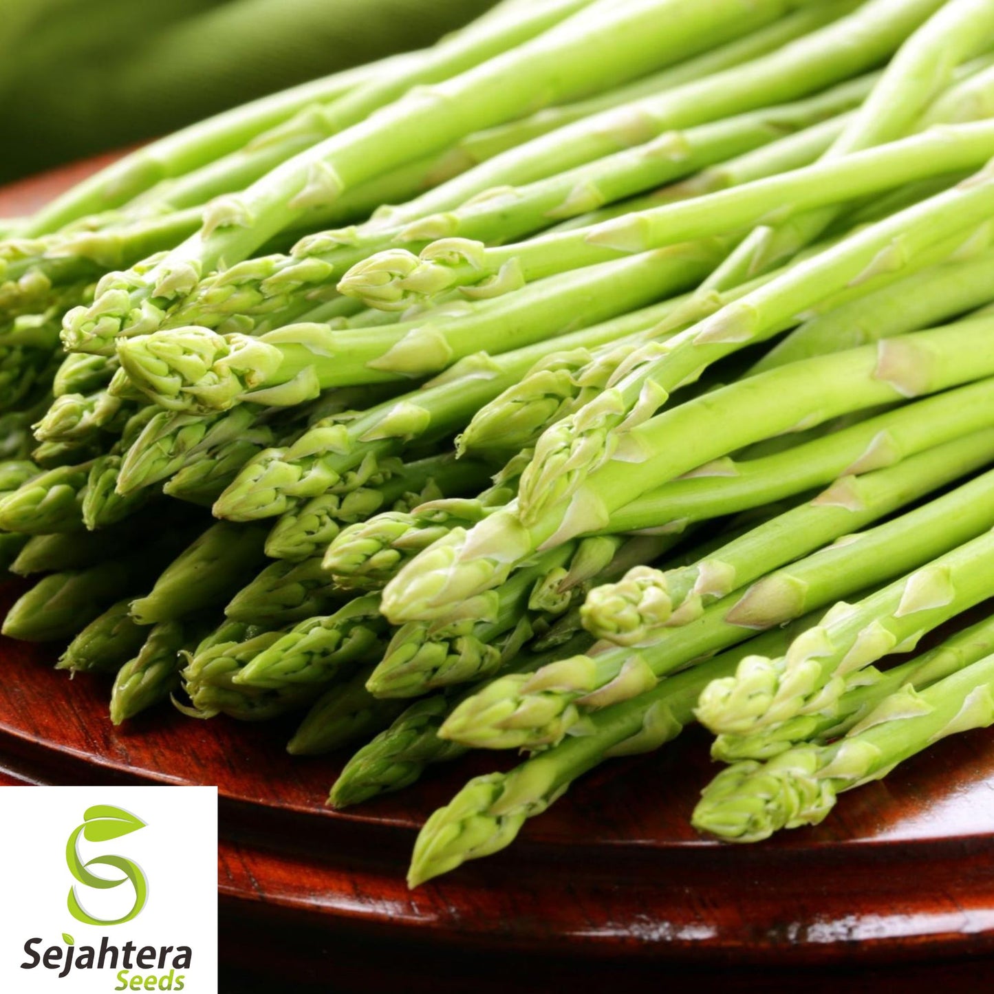 1000+  Mary Washington Asparagus Seeds – Heirloom, Organic, Non-GMO, High-Yield & Fresh