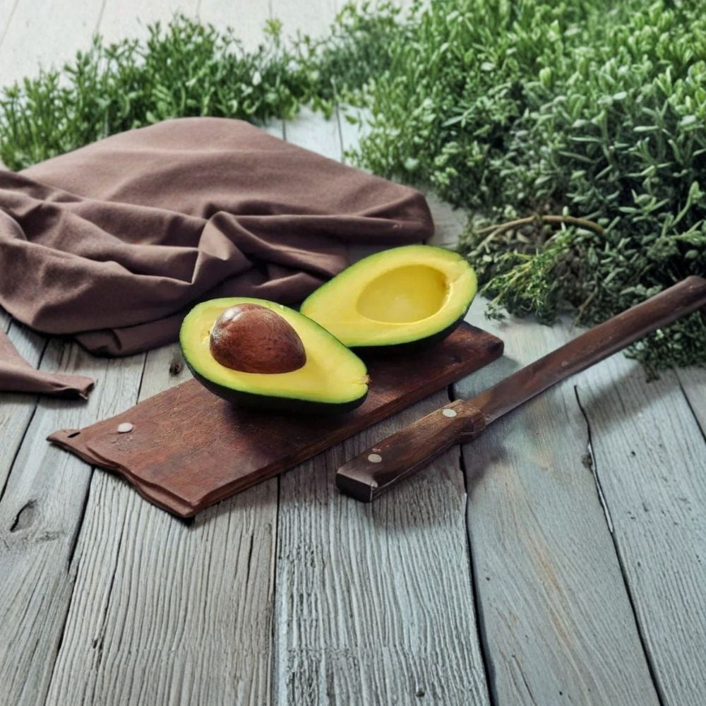 Avozilla Avocado Cutting – Persea americana Unrooted Scion | 6–8 Inch Cutting | For Grafting or Rooting  World’s Largest Avocado Variety | Rare Cultivar | Propagation Material