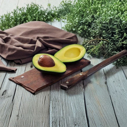 Avozilla Avocado Cutting – Persea americana Unrooted Scion | 6–8 Inch Cutting | For Grafting or Rooting  World’s Largest Avocado Variety | Rare Cultivar | Propagation Material