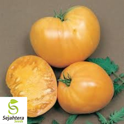 50 Orange Oxheart Tomato Seeds - Heirloom, Indeterminate, Non-GMO Vegetable
