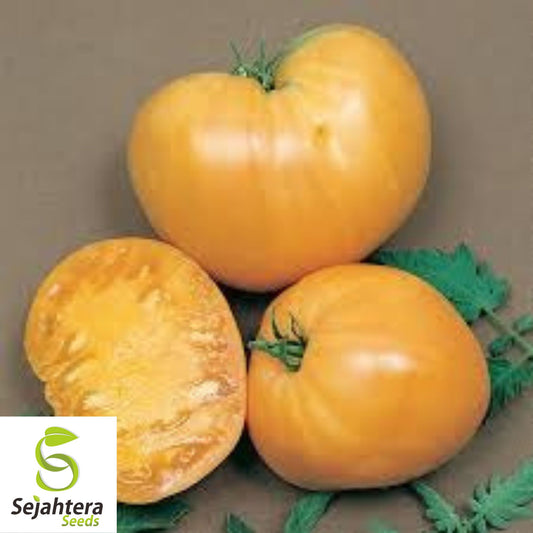 50 Orange Oxheart Tomato Seeds - Heirloom, Indeterminate, Non-GMO Vegetable