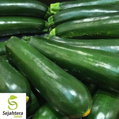 25 Dark Green Zucchini Squash Seeds - Non-GMO, High-Yield Summer Variety