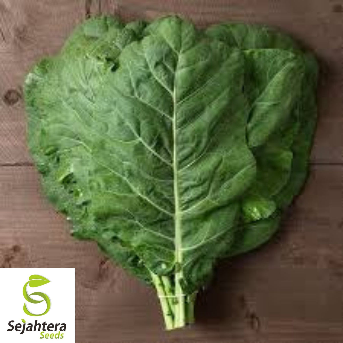 Champion Collard Seeds 300+ | Nutritious Greens & Microgreens NON-GMO USA