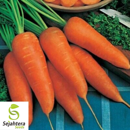Chantenay Red Cored Carrot Seeds 1000+ | Heirloom Vegetable NON-GMO USA