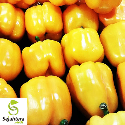 20 Sunbright Sweet Bell Pepper Seeds - Non-GMO, Vibrant & Mild Variety