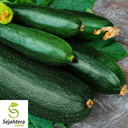 25 Dark Green Zucchini Squash Seeds - Non-GMO, High-Yield Summer Variety