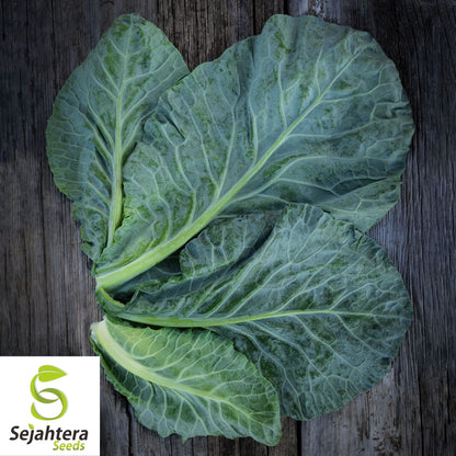 Champion Collard Seeds 300+ | Nutritious Greens & Microgreens NON-GMO USA