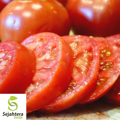 Burpee's Big Boy Tomato Seeds - 120+ Hybrid, Organic, Non-GMO & Fresh