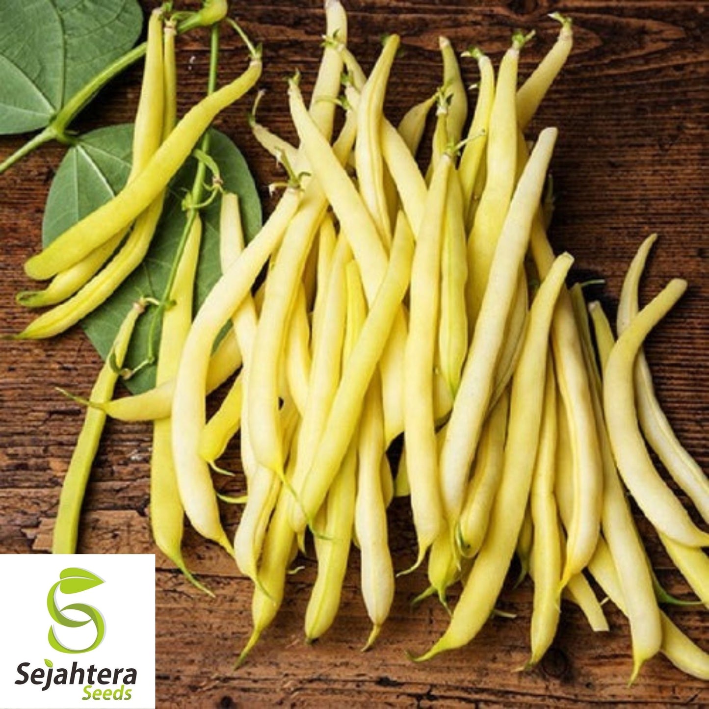 Golden Wax Bean Seeds 50 Ct | Bush Yellow Stringless Vegetable NON-GMO USA