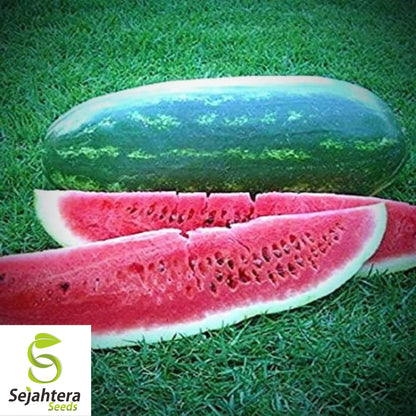 Congo Watermelon Seeds - 24+ Heirloom, Organic, Non-GMO & Large, Rare Variety