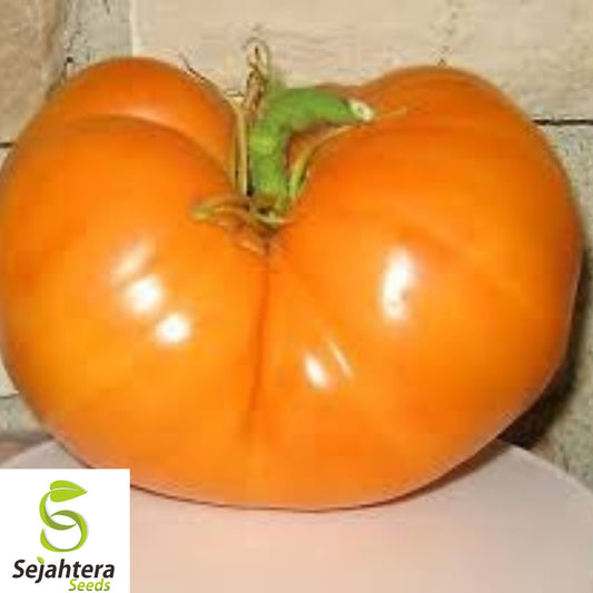 120+ Amana Orange Tomato Seeds – Heirloom, Organic, Non-GMO, Rare & Sweet Flavor