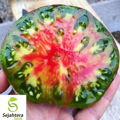10+ Ananas Noire Tomato Seeds - Black Pineapple, Heirloom, Organic, Rare & Juicy
