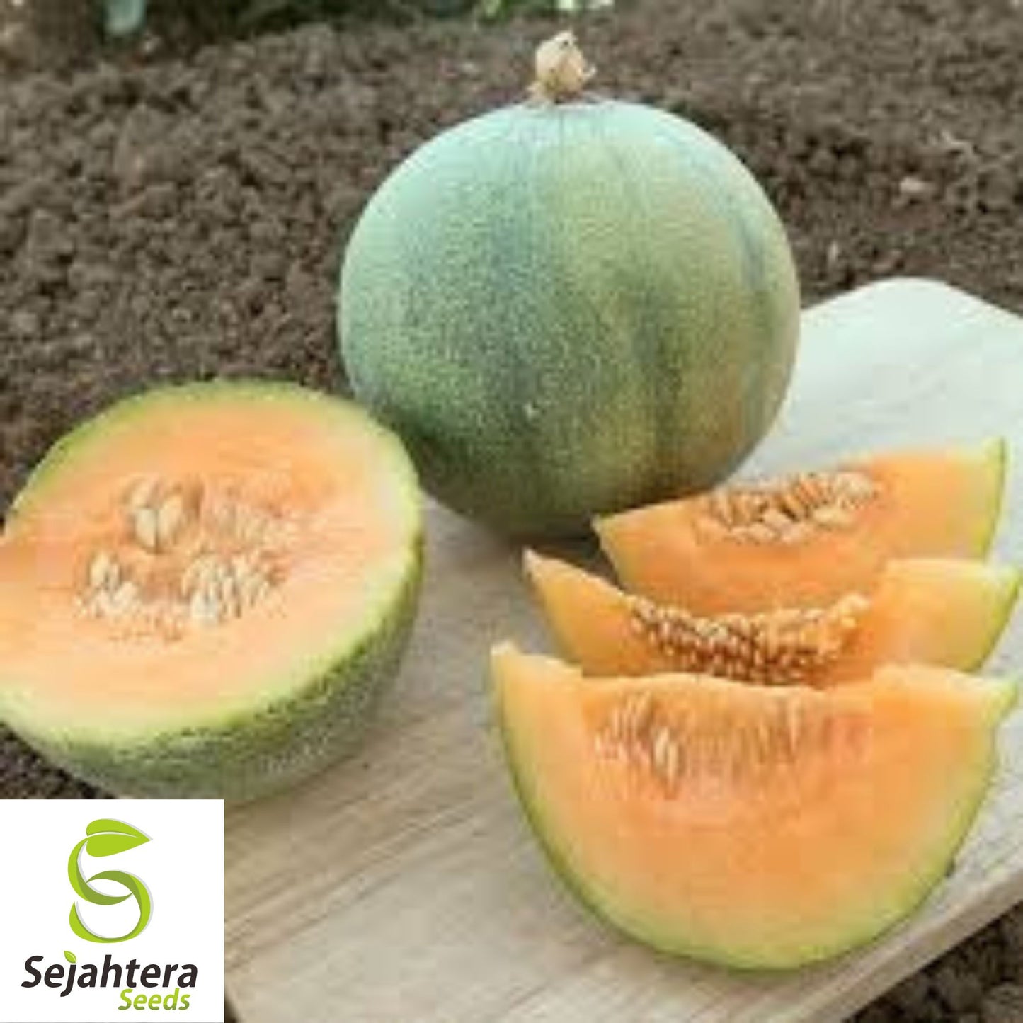 Midget Melon Cantaloupe Seeds {Organic} 100+ Seeds | 70-Day Harvest