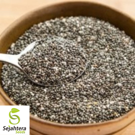 500 Chia Herb Seeds - Non-GMO, Superfood & Nutrient-Rich Variety