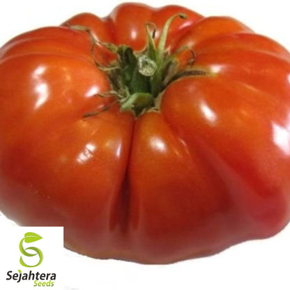 50 Red Brandywine Tomato Seeds - Heirloom, Non-GMO & Flavorful Variety