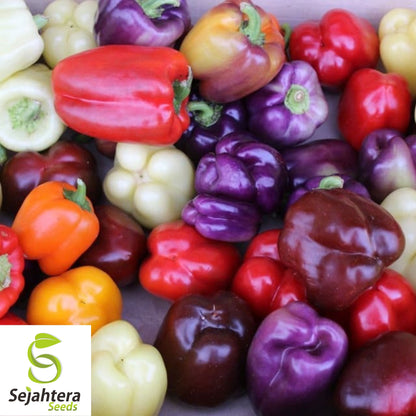 Rainbow Bell Pepper Seeds - 10+ Heirloom, Colorful Mix, Non-GMO & Fresh
