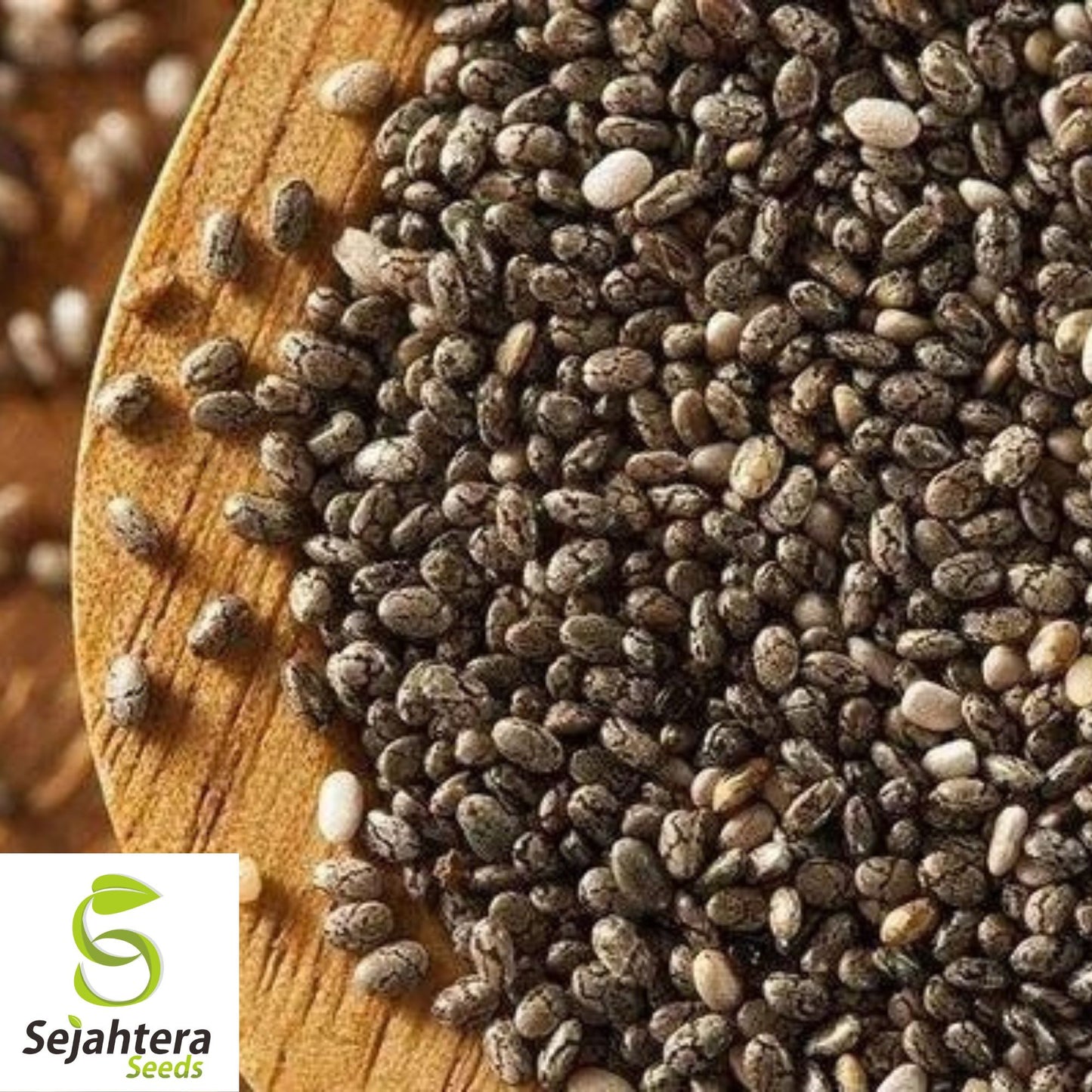 500 Chia Herb Seeds - Non-GMO, Superfood & Nutrient-Rich Variety