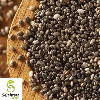 500 Chia Herb Seeds - Non-GMO, Superfood & Nutrient-Rich Variety