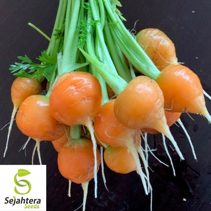 300 Parisian Market Carrot Seeds - Non-GMO, Round & Sweet Heirloom Variety