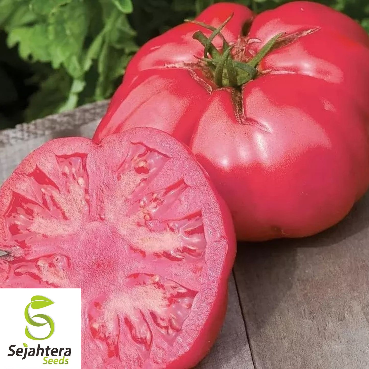 Giant Beefsteak Tomato Seeds - 120+ Heirloom - Huge & Juicy - Organic & Non-GMO