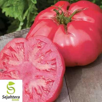Giant Beefsteak Tomato Seeds - 120+ Heirloom - Huge & Juicy - Organic & Non-GMO