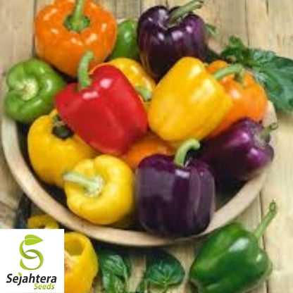Rainbow Bell Pepper Seeds - 10+ Heirloom, Colorful Mix, Non-GMO & Fresh