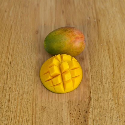 Keitt Mango Tree – Mangifera indica Live Seedling | Tropical Starter Plant | USDA Certified  Late Season Variety | Vigorous Growth | Backyard Friendly