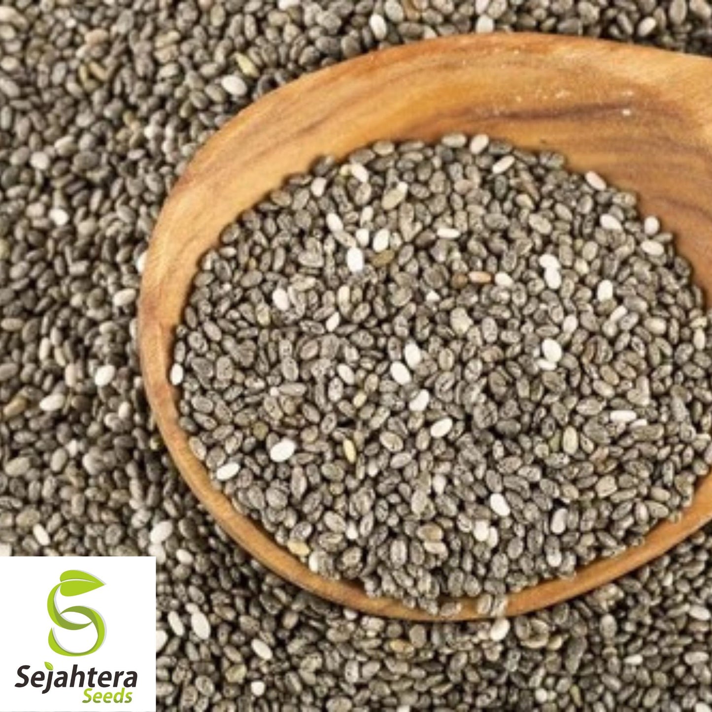 500 Chia Herb Seeds - Non-GMO, Superfood & Nutrient-Rich Variety
