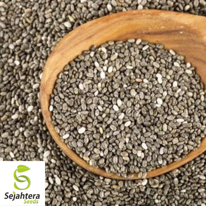 500 Chia Herb Seeds - Non-GMO, Superfood & Nutrient-Rich Variety