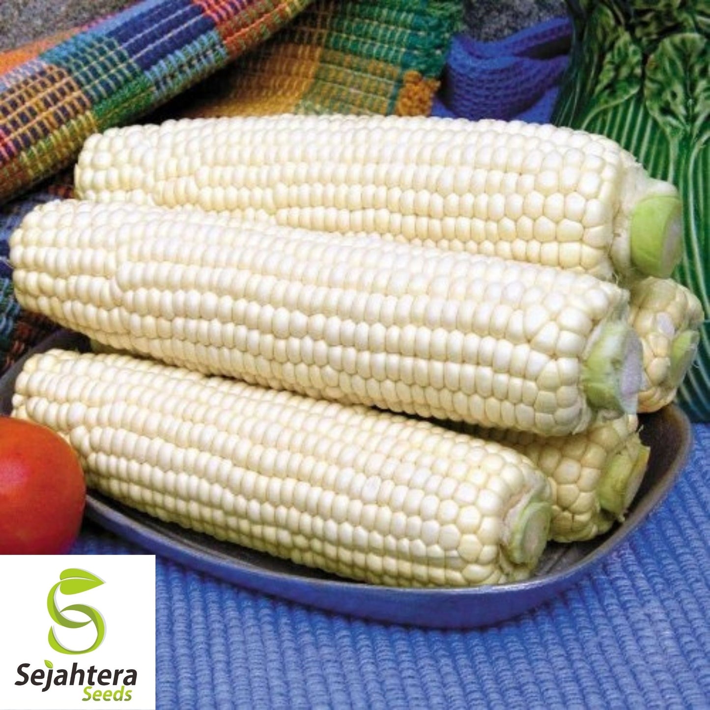 Trucker's Favorite White Corn Seeds 25 Ct | Heirloom NON-GMO Vegetable USA