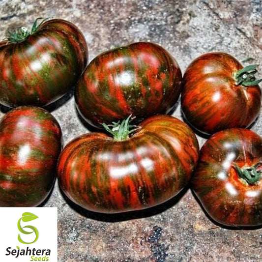 30+ Chocolate Stripe Tomato Seeds - Heirloom, Organic, Non-GMO, Rare & Sweet Flavor