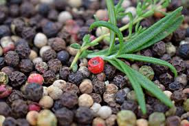 Black Beauty Peppercorn Seeds | Piper nigrum | Organic Heirloom Pepper Plant | Rare Spice Garden Seeds (10)