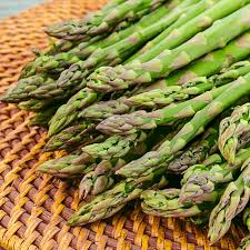 Jersey Giant Asparagus Crowns – Bare Root Asparagus officinalis – High Yield Male Variety – Cold Hardy Perennial Vegetable