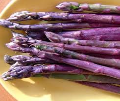 10 Purple Passion Asparagus Crowns – Bare Root Asparagus officinalis – Sweet Purple Spears – Perennial Vegetable Garden Plants