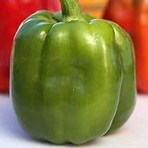 Big Bertha Sweet Pepper Seeds - 100+ Heirloom - Huge & Non-GMO - Organic
