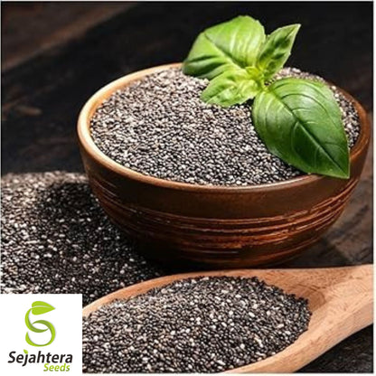 500 Chia Herb Seeds - Non-GMO, Superfood & Nutrient-Rich Variety