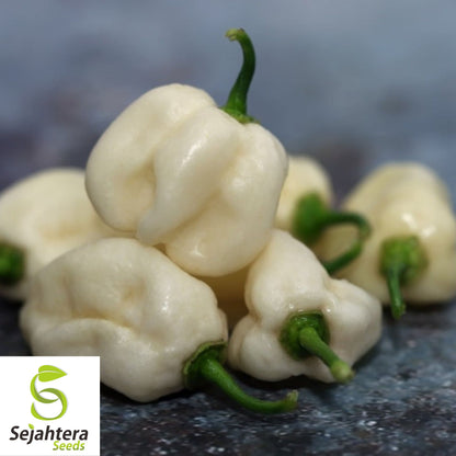 25+ White Hot Habanero Pepper Seeds - Capsicum Chinense, Non-GMO, Spicy Flavor