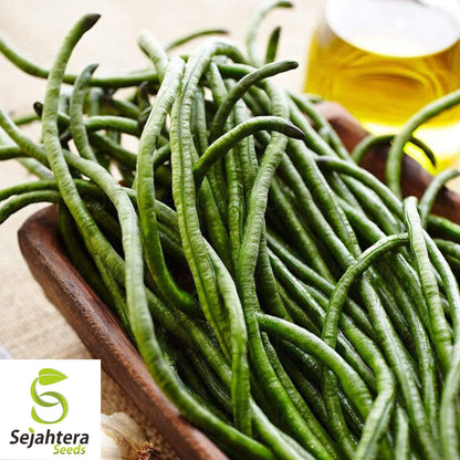Dark Green Yard Long Bean Seeds - 120+ Heirloom, Organic, Non-GMO & Fresh