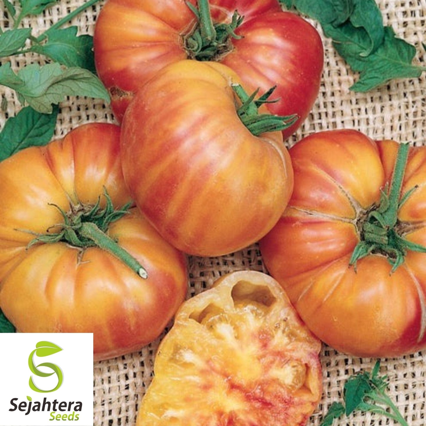 Mr. Stripey Tomato Seeds 25 Ct | Heirloom NON-GMO Vegetable Seeds for Planting
