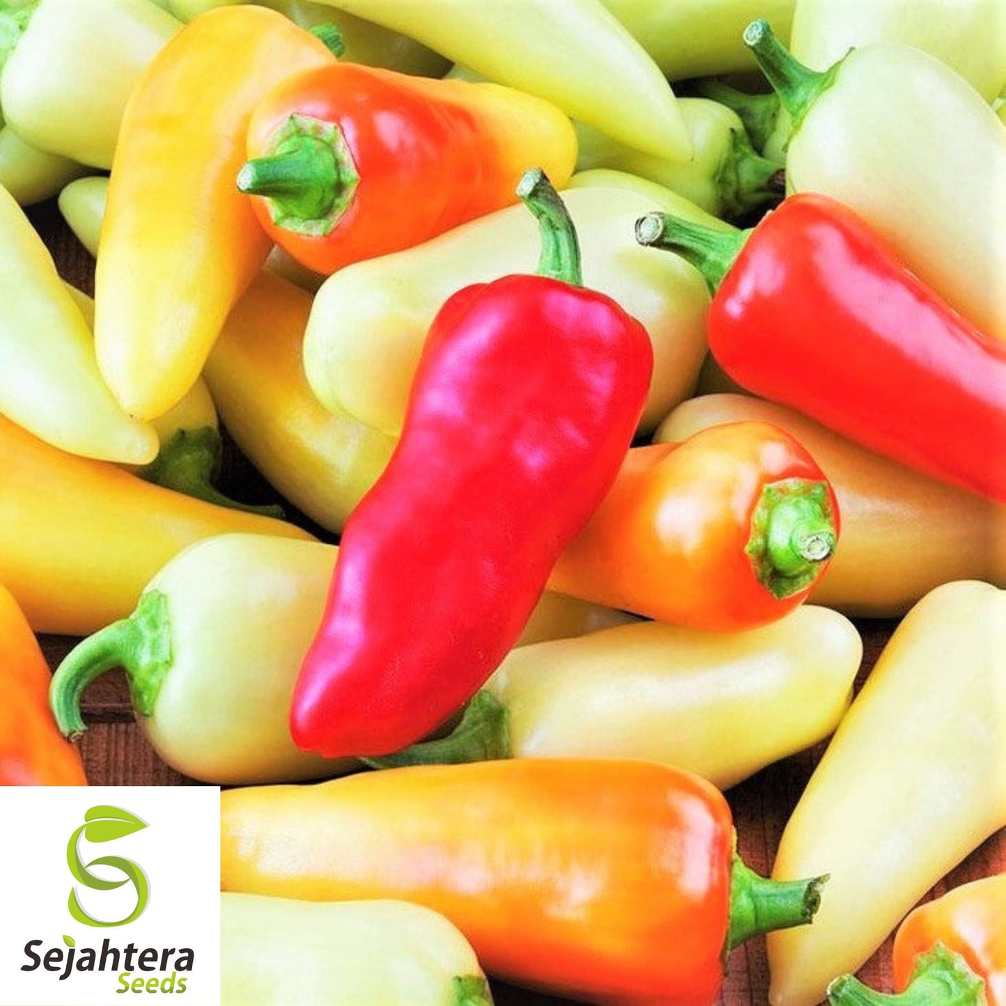 25 Santa Fe Grande Pepper Seeds - Non-GMO, Mild & Colorful Variety