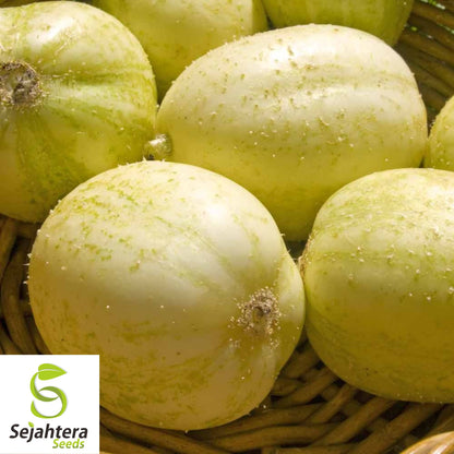 Crystal Apple Cucumber Seeds 20+ | Heirloom NON-GMO Vegetable Garden USA