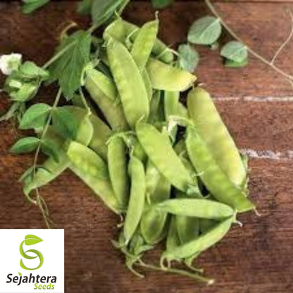 Mammoth Melting Pea Seeds 25 Ct | Heirloom Organic Snow Pod Vegetable USA