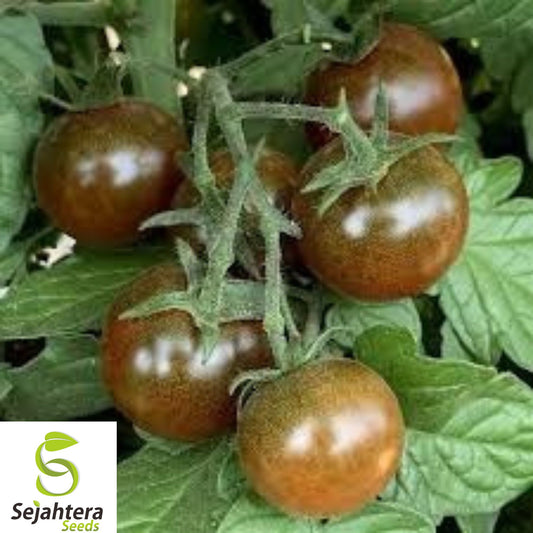 120+ Brown Berry Tomato Seeds - Heirloom, Organic, Rare & Sweet Cherry Variety