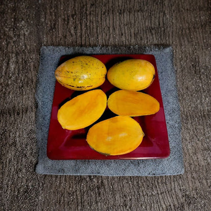 Lemon Zest Mango Tree – Mangifera indica Grafted Organic Tree | 3–4 Feet Tall | Premium Florida Variety  Citrus-Sweet Flavor | Fiberless Fruit | Vigorous Upright Growth